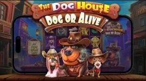 HOME汪汪之家 狗狗神气老虎机介绍